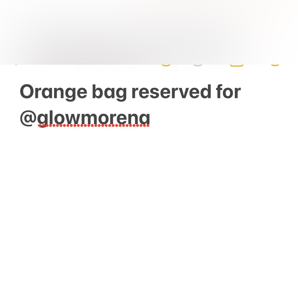 “Vintage Coach Ergo 9033 color Tangerine - Orange (reserved)
